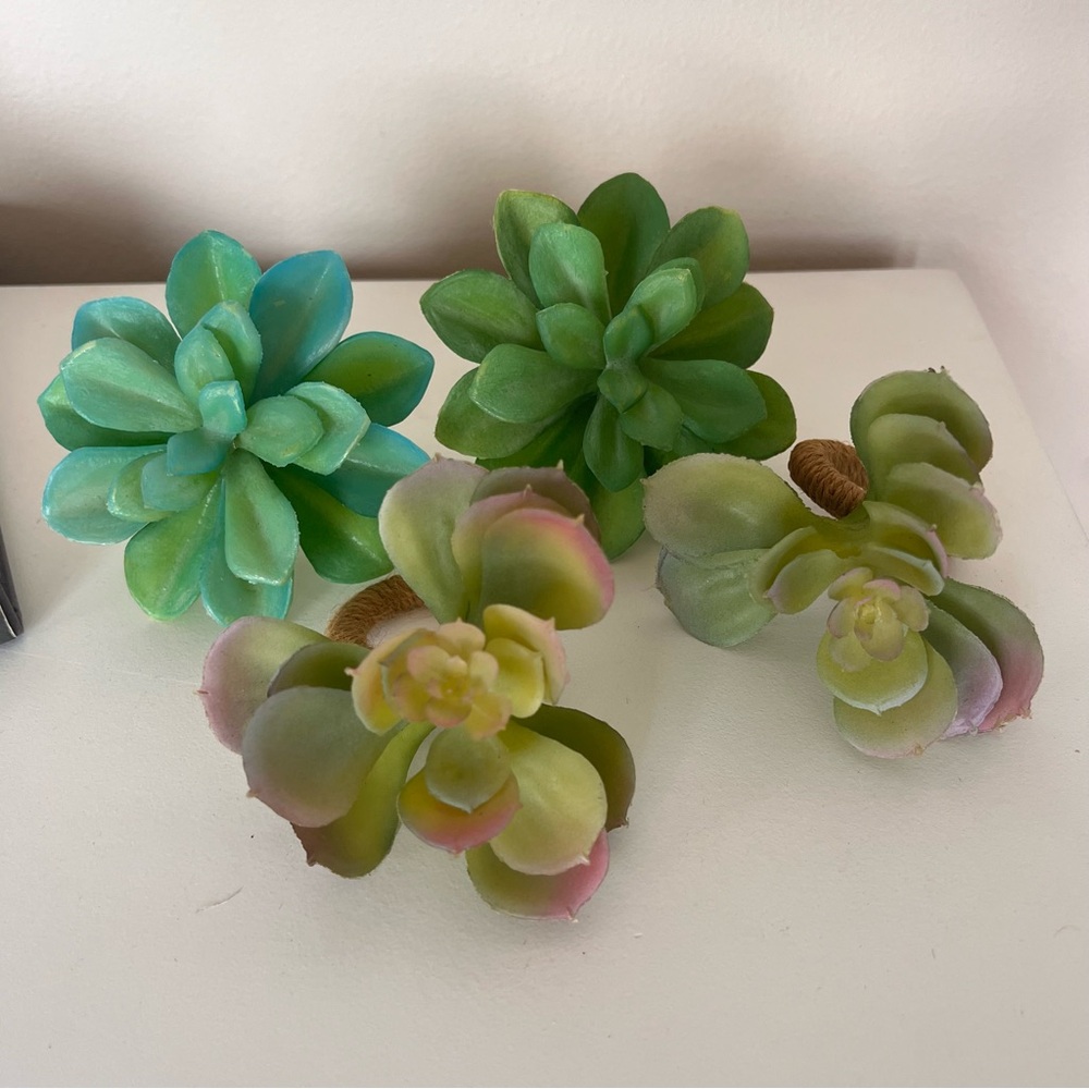 Succulent napkin rings